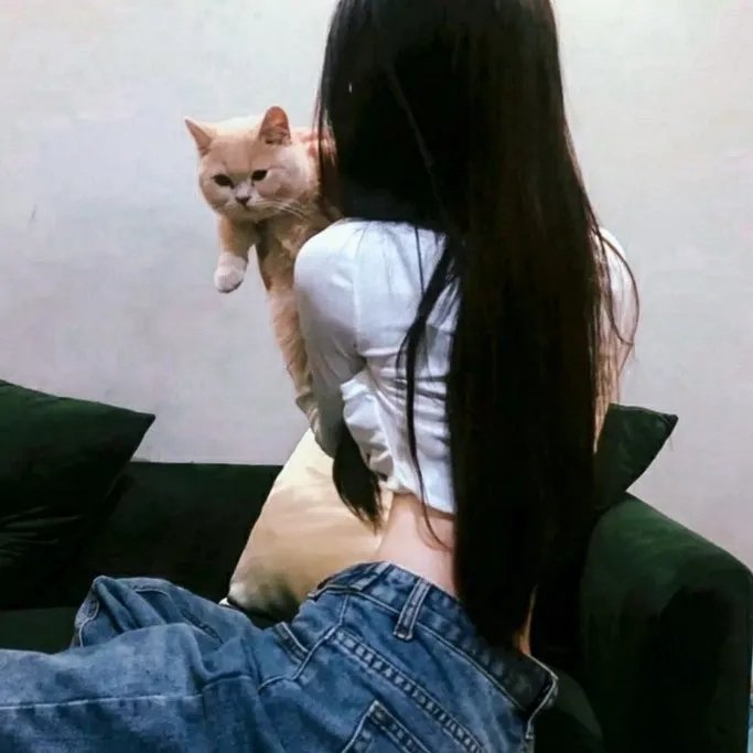 琴思