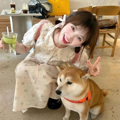 塔皮第一季